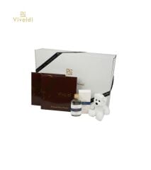 Kolonya ve Ayıcıklı 2li Çikolata Kutusu